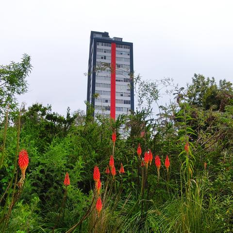 La Paz Botanical Garden