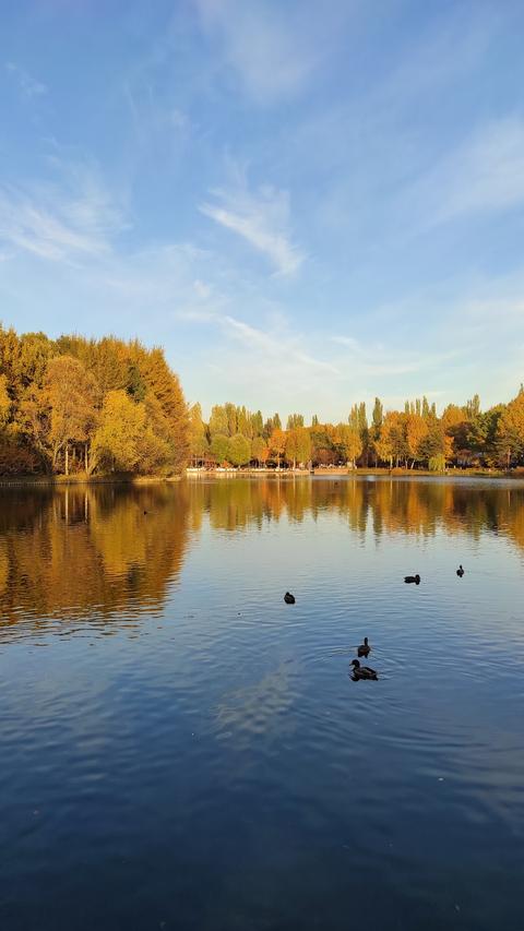 Izmailovsky Park