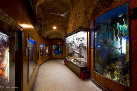 Alexandria Aquarium