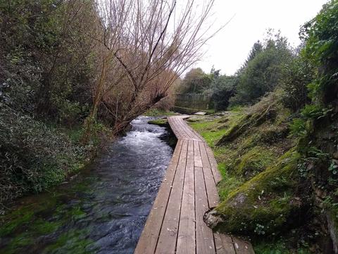 Paseo Fluvial del río Sarela (Santiago de Compostela)