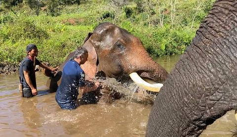 Patara Elephant Farm