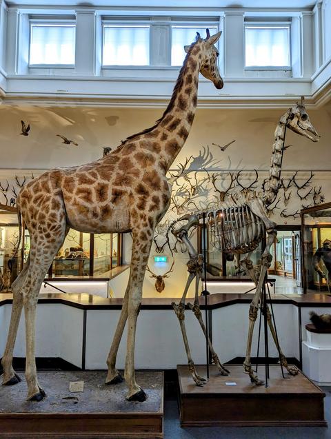 Gothenburg Museum of Natural History
