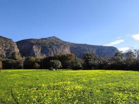 Parco della Favorita