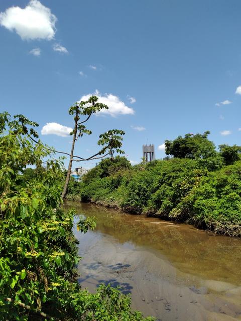Cachoeira River