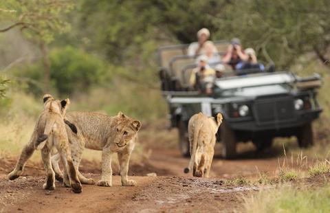 Thanda Safari - Private Game Reserve