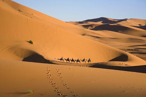 Desert safari morocco | camel ride & overnight in desert
