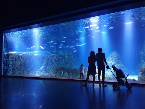 Israel Aquarium