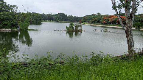 Lalbagh Lake