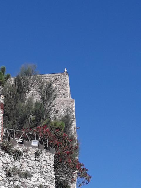 La Torre Cerniola
