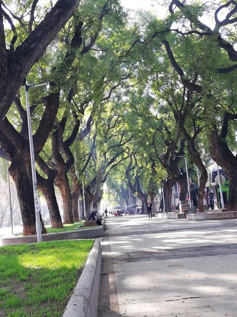 Paseo Alameda