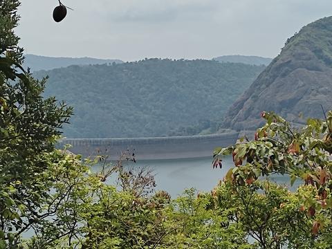 Idukki Wildlife Sanctuary