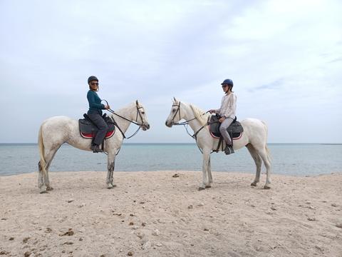 Horseriding Hurghada