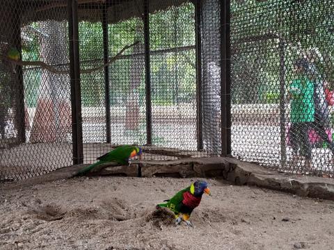 Bird Park Sayaji Garden