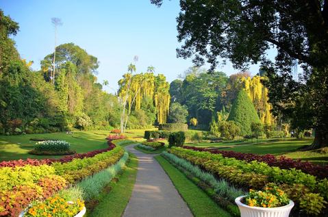 Royal Botanic Gardens, Peradeniya