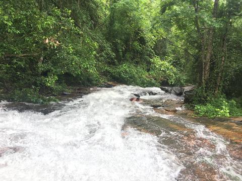 Pattathippara Water Falls
