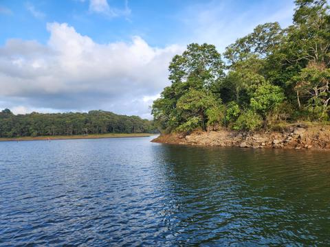 Periyar River