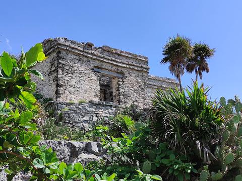 Casa del Cenote