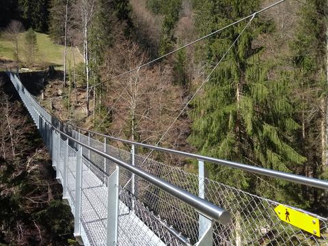 Beatenberg suspension bridge