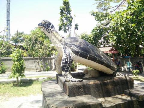 Turtle Conservation And Education Center