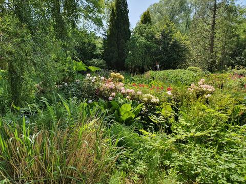 Fletcher Moss Botanical Gardens