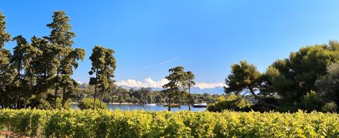 Abbaye de Lérins