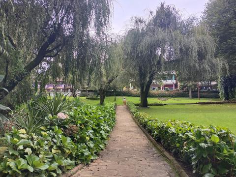 Arboretum Tree Garden