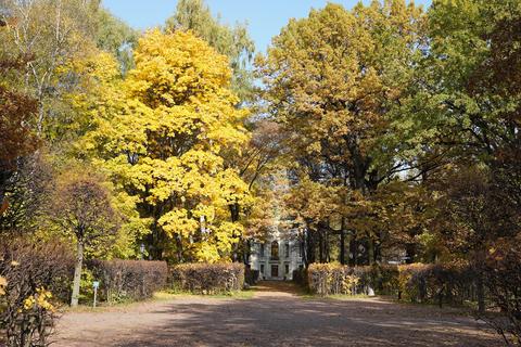 Kuskovo Estate Museum