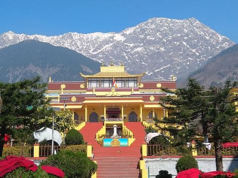Gyuto Tantric Monastery Temple