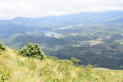 Mathikettan Shola National Park