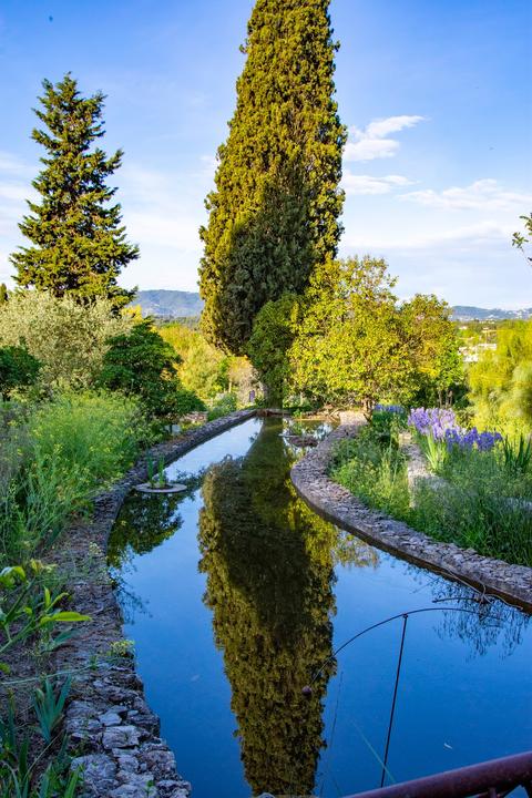 Jardins du MIP (Musée International de la Parfumerie) - Mouans-Sartoux