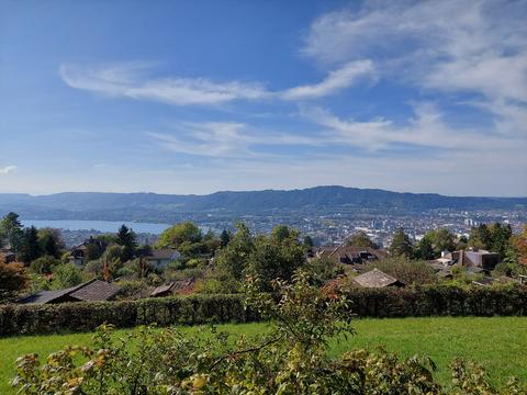 Zürichberg