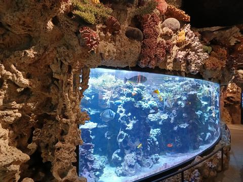 Skansen Aquarium