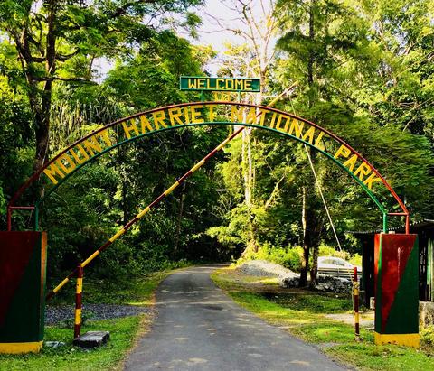 Mount Manipur National Park