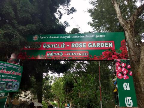 Yercaud Rose Garden
