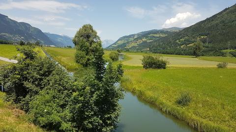 WiesenKönigReich