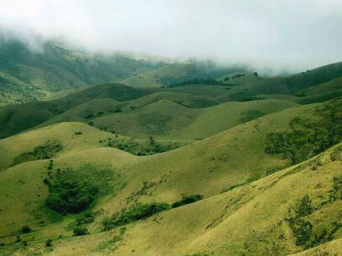 Mukurthi National Park