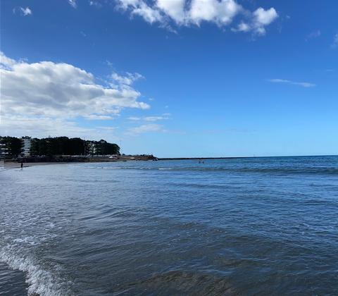 Takapuna Beach