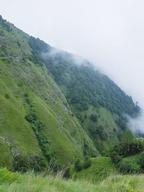 Naina Devi Himalayan Bird Conservation Reserve
