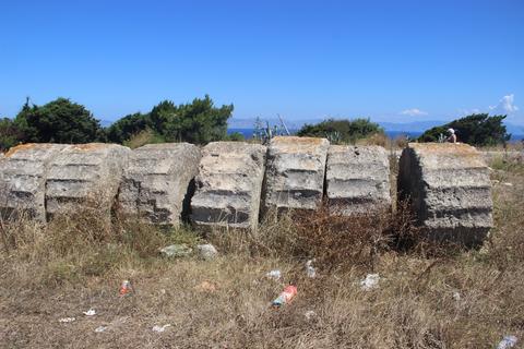 Temple of Athena Polias and Zeus Polieus