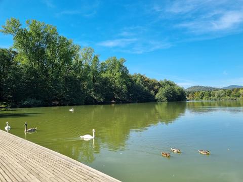 Koseze Pond