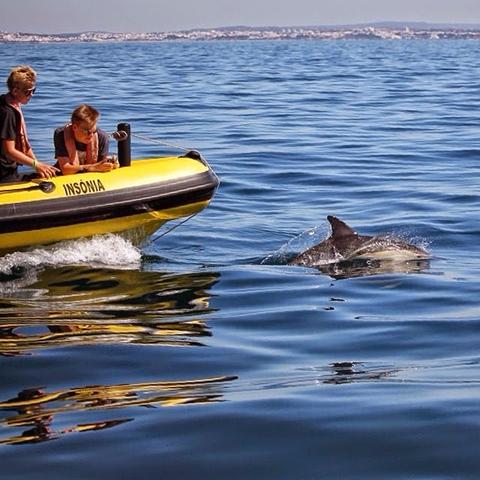 Dream Wave Algarve (Dolphin Watching, Caves, Boat Tours, Jet Ski and Power Boat)