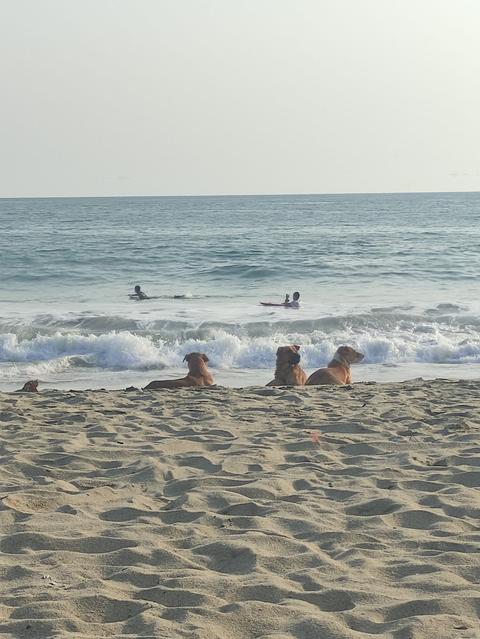 Playa Marinero