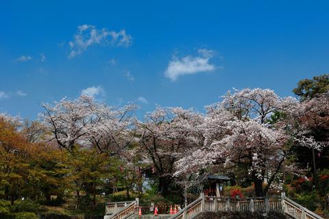 Asukayama Park