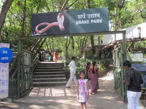 Katraj Snake Park Lake