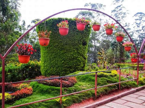 Munnar Rose Garden