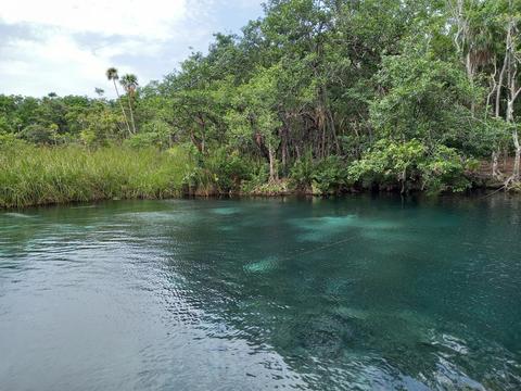 Cenote Mayan Blue