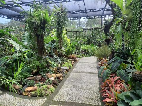 Duta Orchid Garden