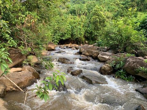 Kopili Picnic Spot, Rani Guwahati