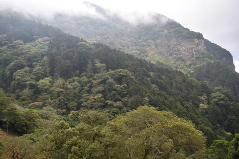 Cerro Cedral