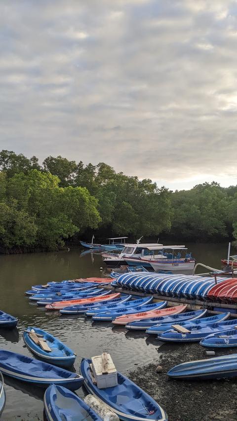 Ekowisata Mangrove Batu Lumbang